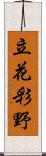 立花彩野 Scroll