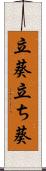 立葵 Scroll