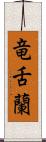 竜舌蘭 Scroll