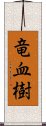 竜血樹 Scroll