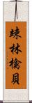 竦林檎貝 Scroll