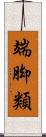 端脚類 Scroll