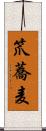 笊蕎麦 Scroll