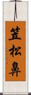 笠松鼻 Scroll