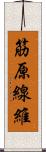 筋原線維 Scroll