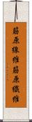 筋原線維 Scroll