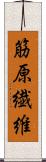 筋原繊維 Scroll