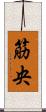 筋央 Scroll