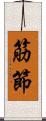 筋節 Scroll