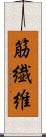 筋繊維 Scroll