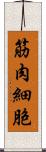 筋肉細胞 Scroll