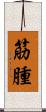 筋腫 Scroll