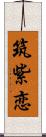 筑紫恋 Scroll