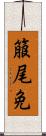 箙尾免 Scroll