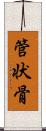 管状骨 Scroll