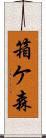 箱ケ森 Scroll