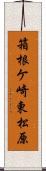 箱根ケ崎東松原 Scroll