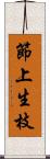 節上生枝 Scroll