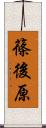 篠後原 Scroll