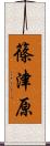 篠津原 Scroll