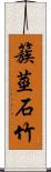 簇莖石竹 Scroll