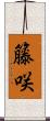 籐咲 Scroll