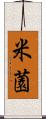 米薗 Scroll