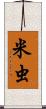 米虫 Scroll