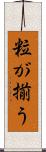 粒が揃う Scroll
