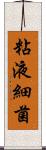 粘液細菌 Scroll