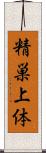 精巣上体 Scroll