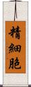 精細胞 Scroll