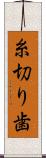 糸切り歯 Scroll