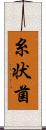 糸状菌 Scroll
