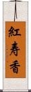 紅寿香 Scroll