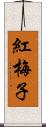 紅梅子 Scroll