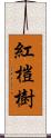 紅榿樹 Scroll