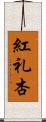紅礼杏 Scroll