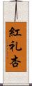 紅礼杏 Scroll