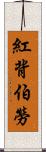 紅背伯勞 Scroll