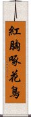 紅胸啄花鳥 Scroll