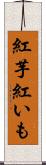 紅芋 Scroll