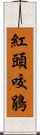 紅頭咬鵑 Scroll