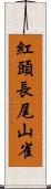 紅頭長尾山雀 Scroll
