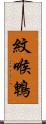 紋喉鵯 Scroll