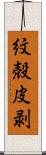 紋殻皮剥 Scroll