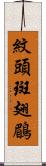 紋頭斑翅鶥 Scroll