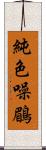 純色噪鶥 Scroll