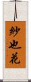 紗也花 Scroll