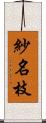 紗名枝 Scroll